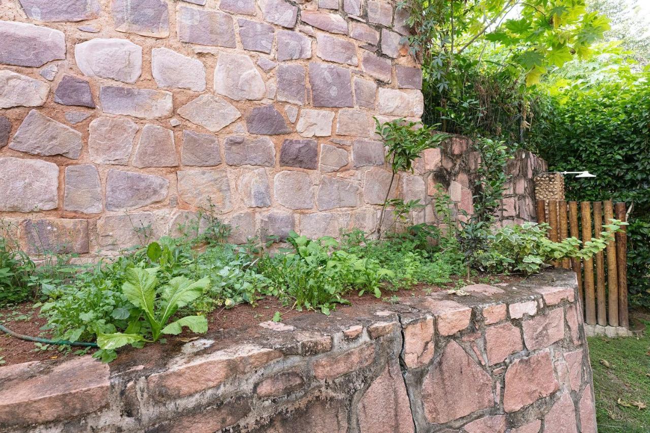 Acasa Diamantina - O Aconchego Em Meio A Natureza Lencois Luaran gambar